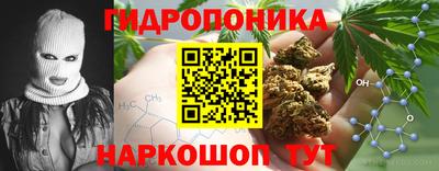 мет Кимры
