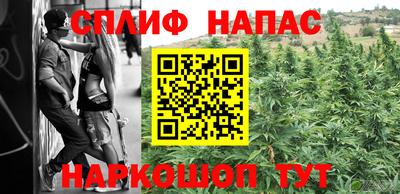 apvp Кингисепп