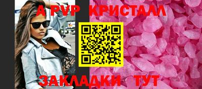 apvp Кингисепп