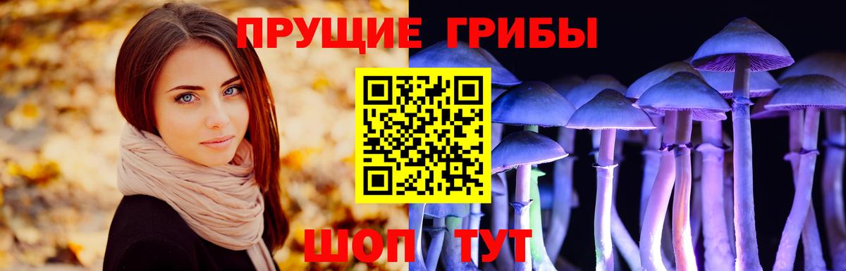 Красноармейск  Псилоцибиновые грибы Magic Shrooms  Вход с VPN 
